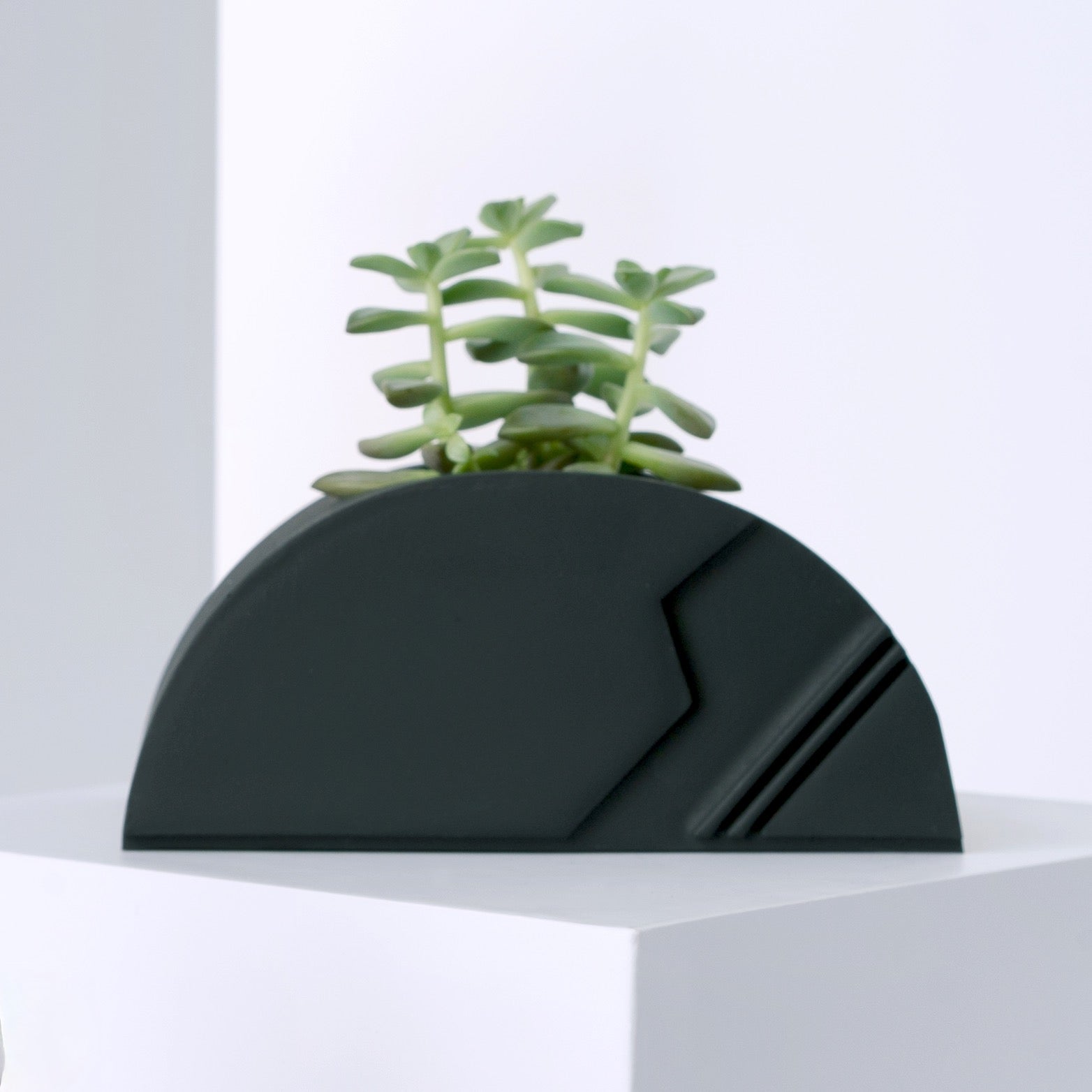 Petit vase demi-lune pour plantes succulentes – l'empreinte coopérative